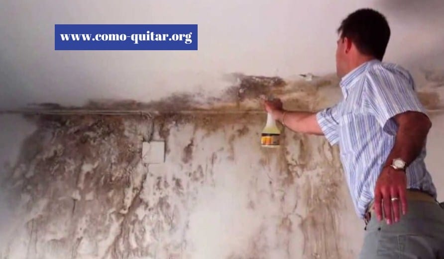 como quitar la humedad pared y solucionarlo definitivamente